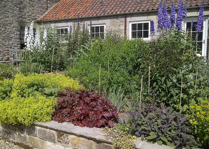 Bed & Breakfast High Park Farm *