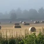 住宿加早餐酒店 High Park Farm *